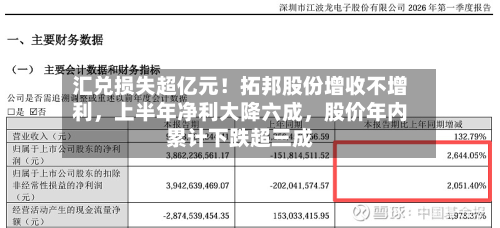 汇兑损失超亿元！拓邦股份增收不增利，上半年净利大降六成，股价年内累计下跌超三成-第2张图片