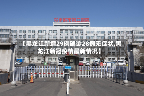 【黑龙江新增29例确诊28例无症状,黑龙江新冠疫情最新情况】