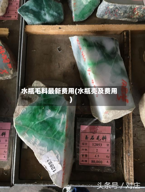 水瓶毛料最新费用(水瓶壳及费用)