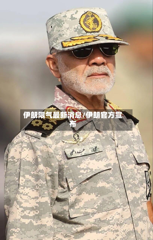 伊朗限气最新消息/伊朗官方宣布-第2张图片