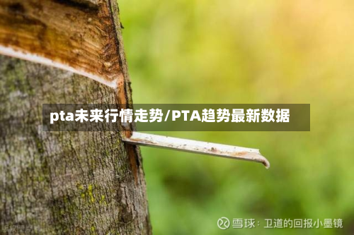 pta未来行情走势/PTA趋势最新数据