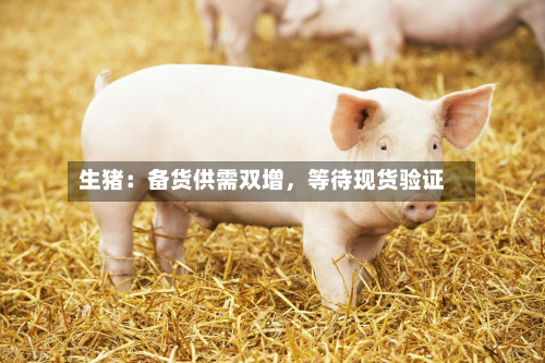 生猪：备货供需双增，等待现货验证-第1张图片
