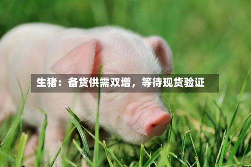 生猪：备货供需双增，等待现货验证-第2张图片