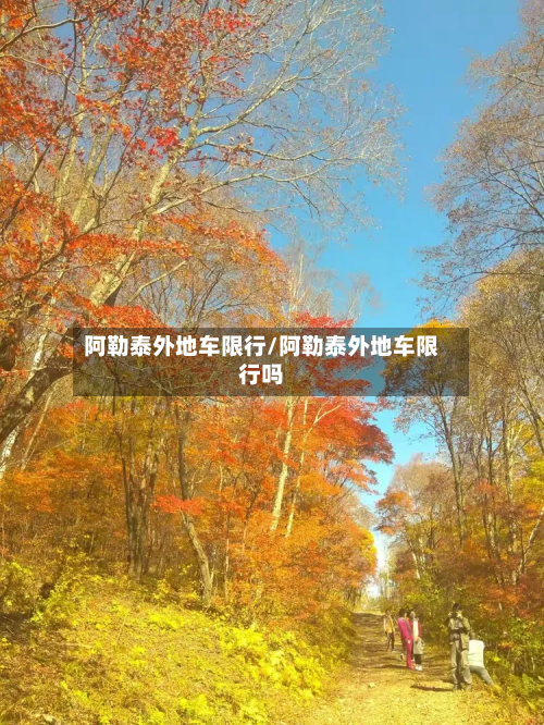 阿勒泰外地车限行/阿勒泰外地车限行吗