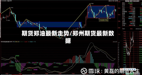 期货郑油最新走势/郑州期货最新数据