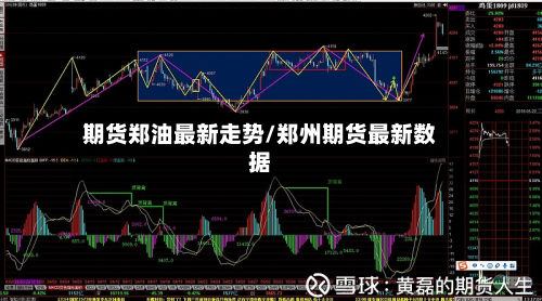 期货郑油最新走势/郑州期货最新数据-第2张图片