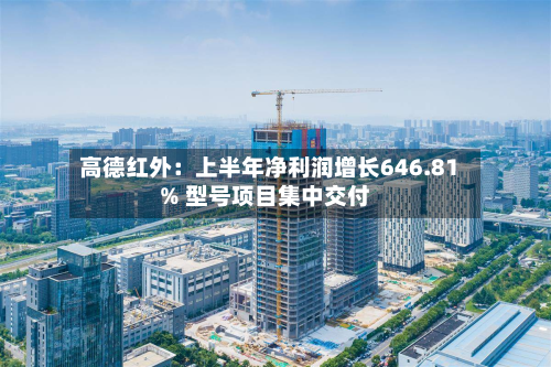 高德红外：上半年净利润增长646.81% 型号项目集中交付-第3张图片