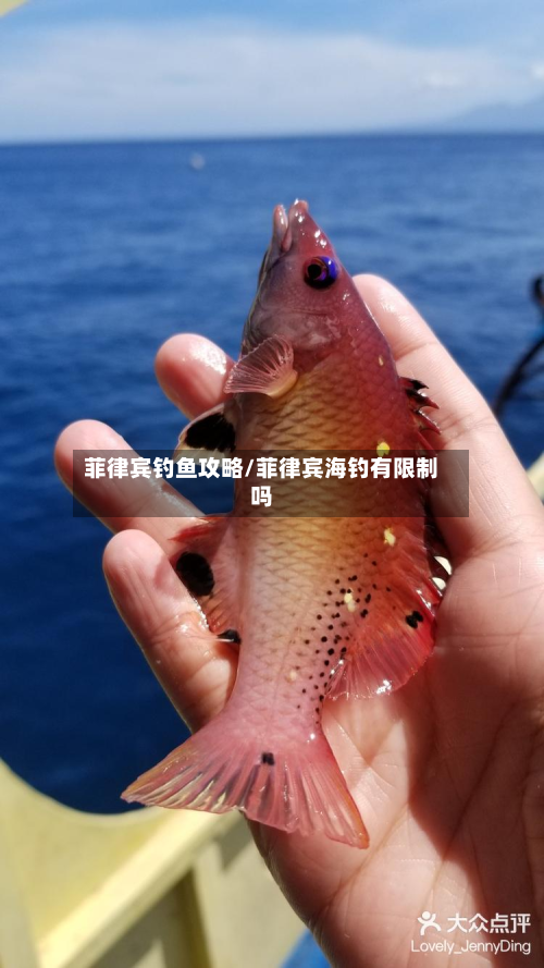 菲律宾钓鱼攻略/菲律宾海钓有限制吗