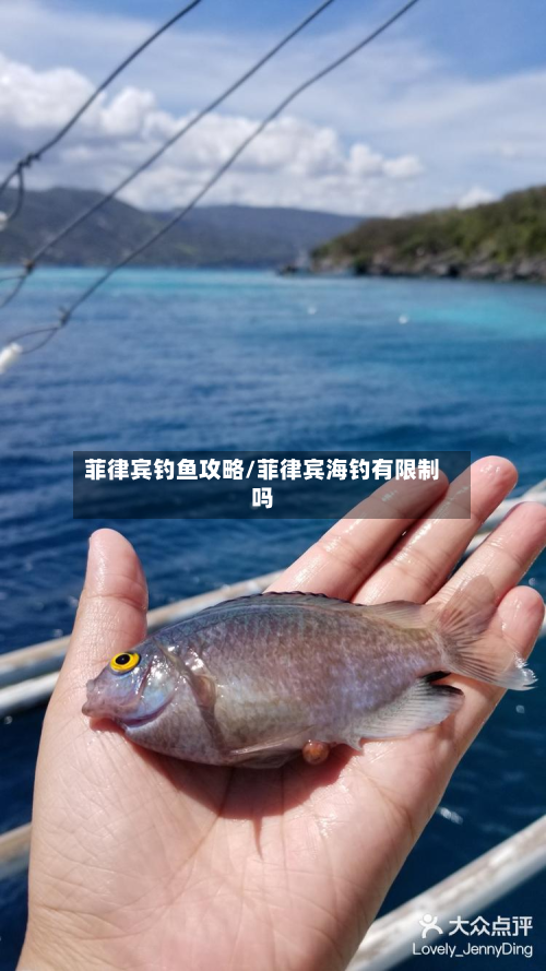 菲律宾钓鱼攻略/菲律宾海钓有限制吗-第2张图片