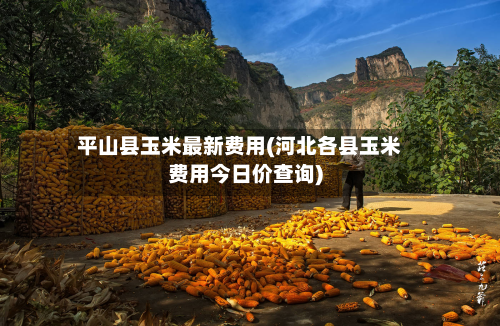 平山县玉米最新费用(河北各县玉米费用今日价查询)