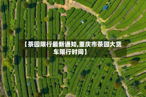 【茶园限行最新通知,重庆市茶园大货车限行时间】