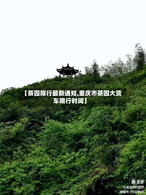 【茶园限行最新通知,重庆市茶园大货车限行时间】-第2张图片