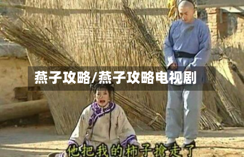 燕子攻略/燕子攻略电视剧-第2张图片