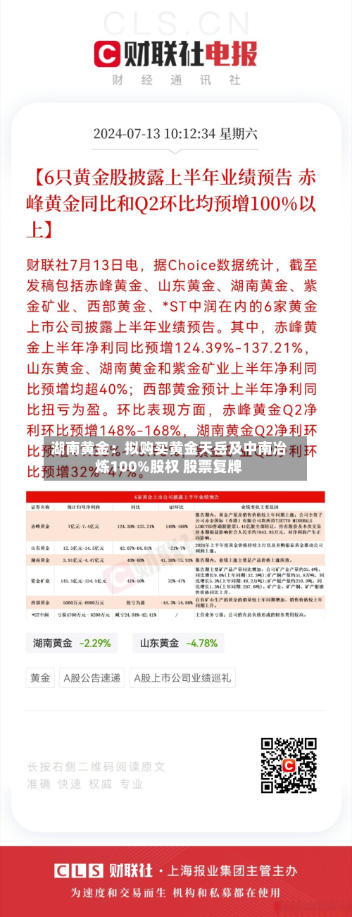 湖南黄金：拟购买黄金天岳及中南冶炼100%股权 股票复牌-第3张图片