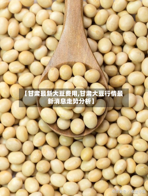 【甘肃最新大豆费用,甘肃大豆行情最新消息走势分析】-第3张图片