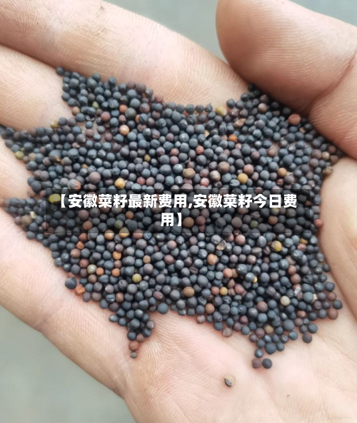 【安徽菜籽最新费用,安徽菜籽今日费用】-第3张图片
