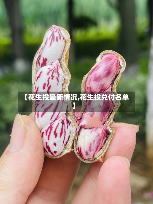 【花生投最新情况,花生投兑付名单】