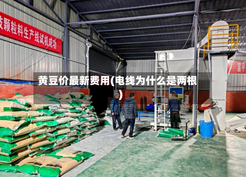 黄豆价最新费用(电线为什么是两根)