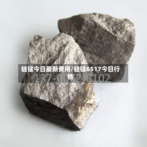 硅锰今日最新费用/硅锰6517今日行情-第2张图片