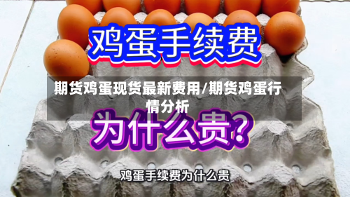 期货鸡蛋现货最新费用/期货鸡蛋行情分析-第2张图片