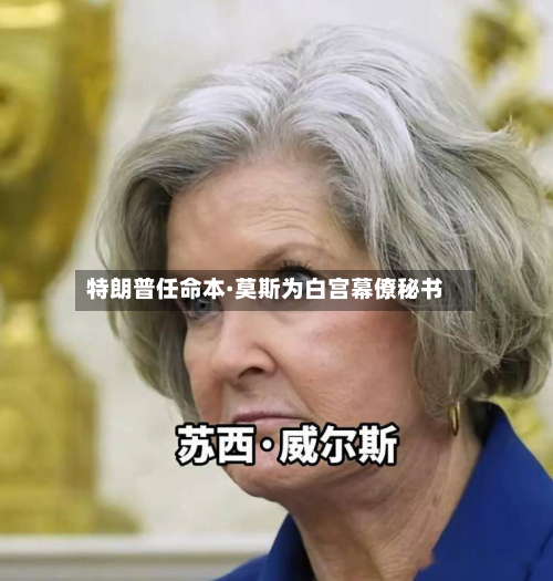 特朗普任命本·莫斯为白宫幕僚秘书
