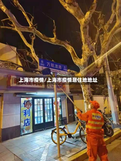 上海市疫情/上海市疫情居住地地址-第2张图片