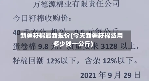 新疆籽棉最新报价(今天新疆籽棉费用多少钱一公斤)