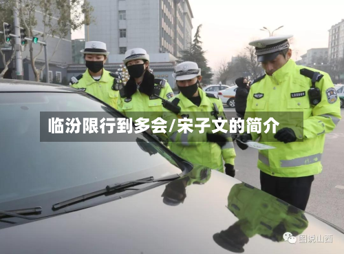 临汾限行到多会/宋子文的简介-第3张图片