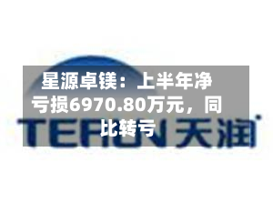 星源卓镁：上半年净亏损6970.80万元，同比转亏-第3张图片