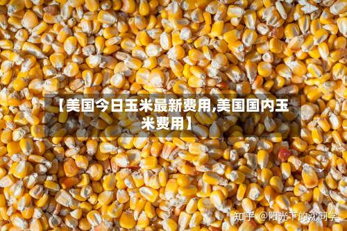 【美国今日玉米最新费用,美国国内玉米费用】-第2张图片