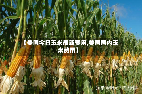 【美国今日玉米最新费用,美国国内玉米费用】-第3张图片