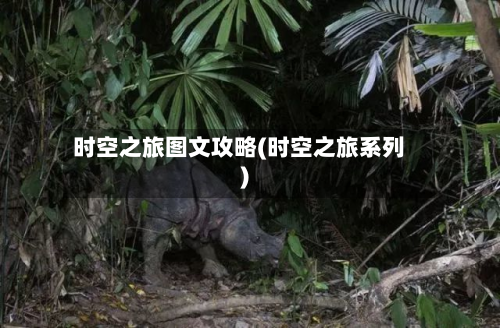 时空之旅图文攻略(时空之旅系列)-第3张图片