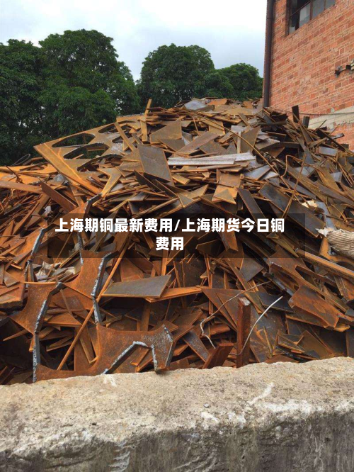上海期铜最新费用/上海期货今日铜费用