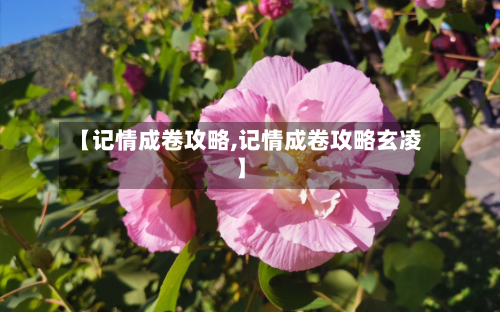 【记情成卷攻略,记情成卷攻略玄凌】