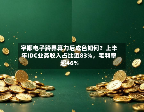 宇顺电子跨界算力后成色如何？上半年IDC业务收入占比近83%，毛利率超46%-第3张图片