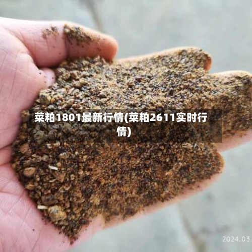 菜粕1801最新行情(菜粕2611实时行情)