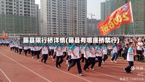 藤县限行桥详情(藤县有哪座桥禁行)