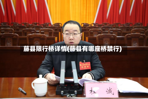 藤县限行桥详情(藤县有哪座桥禁行)-第2张图片