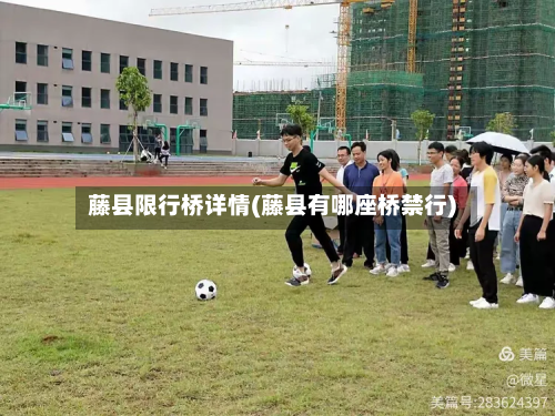 藤县限行桥详情(藤县有哪座桥禁行)-第3张图片