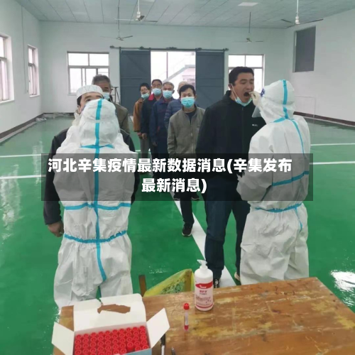 河北辛集疫情最新数据消息(辛集发布最新消息)-第2张图片