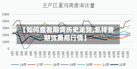 【如何查看期货历史走势,怎样查期货费用行情】