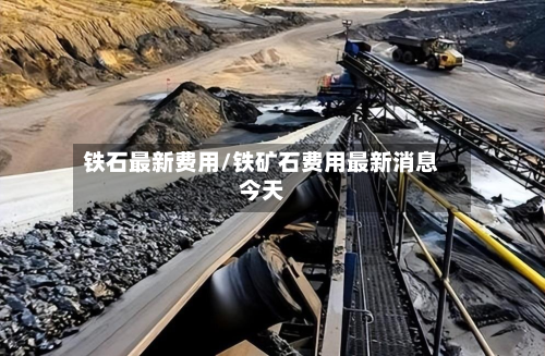 铁石最新费用/铁矿石费用最新消息今天