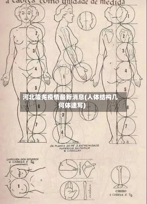 河北隆尧疫情最新消息(人体结构几何体速写)