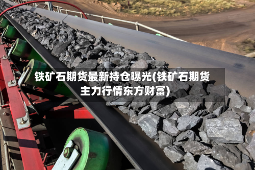 铁矿石期货最新持仓曝光(铁矿石期货主力行情东方财富)-第2张图片