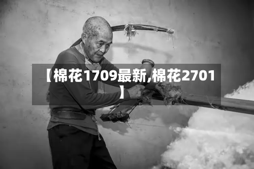 【棉花1709最新,棉花2701】