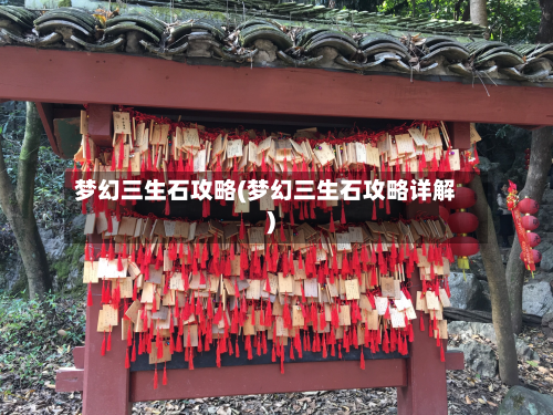 梦幻三生石攻略(梦幻三生石攻略详解)-第3张图片