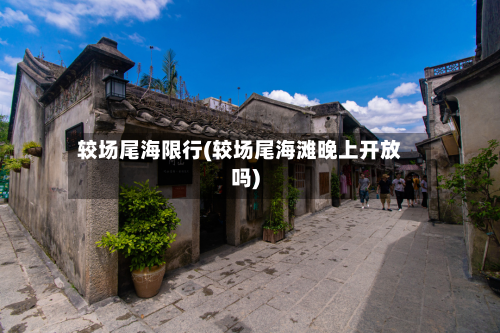较场尾海限行(较场尾海滩晚上开放吗)-第2张图片