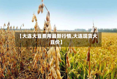 【大连大豆费用最新行情,大连现货大豆价】