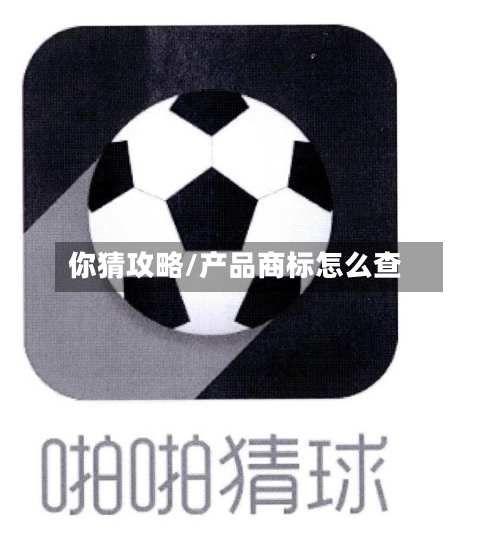 你猜攻略/产品商标怎么查