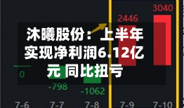沐曦股份：上半年实现净利润6.12亿元 同比扭亏